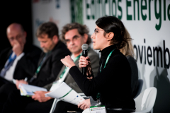 Elena-Vilches-Enmedio-Studio-Mesa-Redonda-1-5-Congreso-Edificios-Energia-Casi-Nula-2018